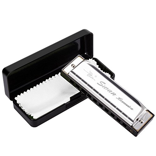 Imelod Armonica diatónica de 10 agujeros para principiantes niños, armónica clave de C con funda y paño de limpieza (plata) Cover