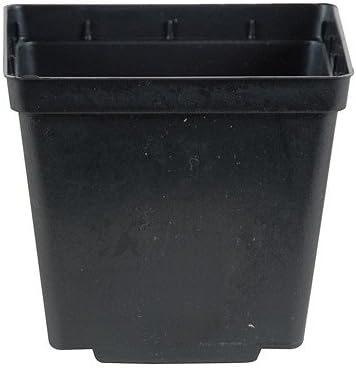 50 NEW BLACK 5" Kord Jumbo Square Pot ~ Pots are 5 3/8" W x 5 3/8" L x 6" H