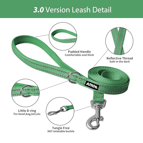 Image of AIITLE Comfortable Dog Harness and Leash Set for Walking - Step in Vest Harness,Reflective Bands, Adjustable No Pull Puppy Essentials, for Small Dogs and House Cats Green XS