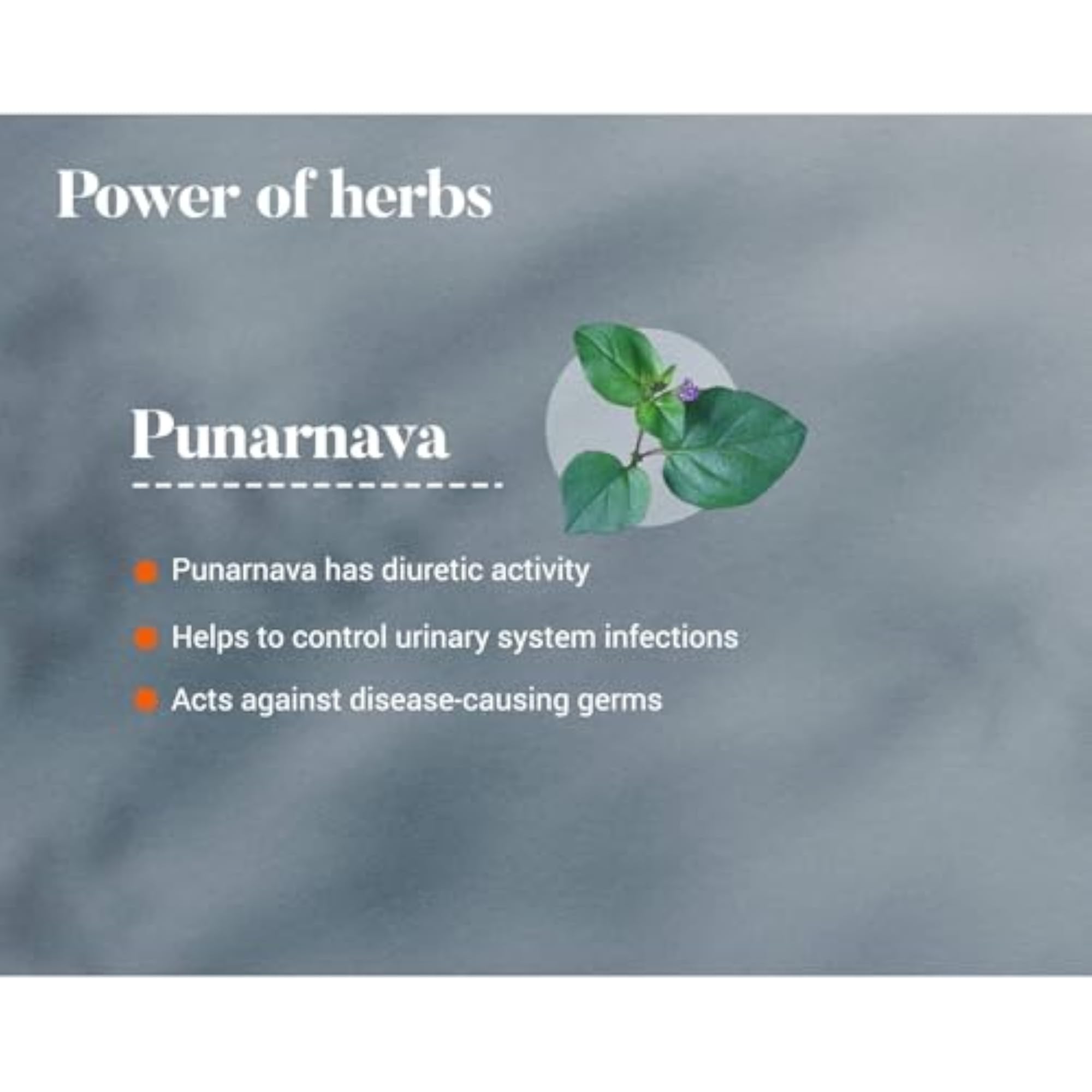 Himalaya Punarnava Tablets, 60 Count