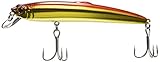 スミス(SMITH LTD) ミノー サラナ F 110mm 14g RG #34 ルアー