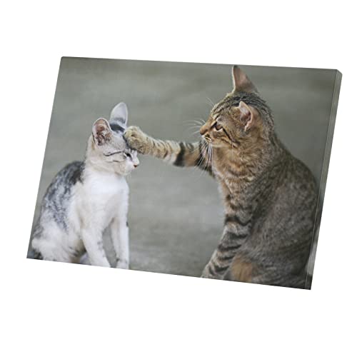 Tableau chaton et maman tigre déco murale toile imprimée 43x30 cm