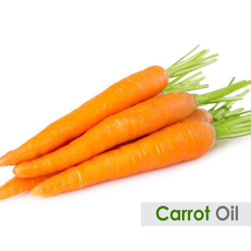 Image of Salvia Carrot Oil with Dropper 100% Natural Pure Undiluted Uncut Essential Oil - 15ml
