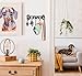 SirHoldeer Hundegarderobe, Hundeleinenhalter Wand, Schlüsselbrett Schwarz, Wandhaken für Hundeleine, Hundespielzeug, Halsband oder Schlüssel, Hunde Geschenke, Geschenkideen für Hundebesitzer