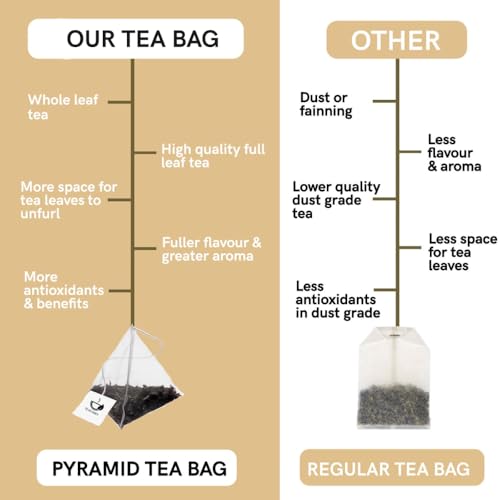 Image of Teacurry Himalayan Nettle Leaf Tea (30 Bags) - Supports Kidney Wellness, Pressure Balance, Digestion & Weight Management | Pure Herbal Tea