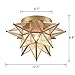 DAYCENT Brass Moravian Star Flush Mount Ceiling Light with Seeded Glass Shade Modern Gold Moroccan Star Ceiling Light Fixture for Hallway Bedroom Kitchen
