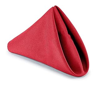 WedDecor 20 Inch Rood Katoen Polyester Servet voor Thuis, Hotel, Dineren, Bruiloft, Banket, Feest, Evenementen, Omzoomde Randen Lichtgewicht & Machine Wasbaar, 20 stuks