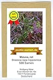 Asiasalat - Mizuna rot - Brassica rapa nipposinica - 500 Samen