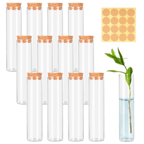 Les 10 meilleurs Tubes de laboratoire – Edition octobre 2026