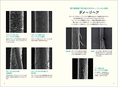 Amazon.com: 社団法人 日本毛髪構造機構研究会: books, biography