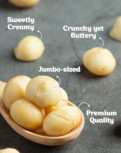 Image of True Elements Macadamia Nuts Roasted And Salted 120g - Crunchy and Roasted Nuts | Healthy Snack | High in Fibre and Protein | Premium Dry Fruits