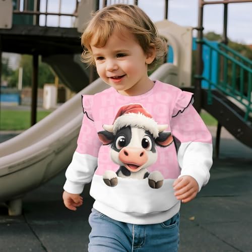Toddler Sweatshirt Girls Long Sleeve Ruffle Pullover 1-8 Years Tops3