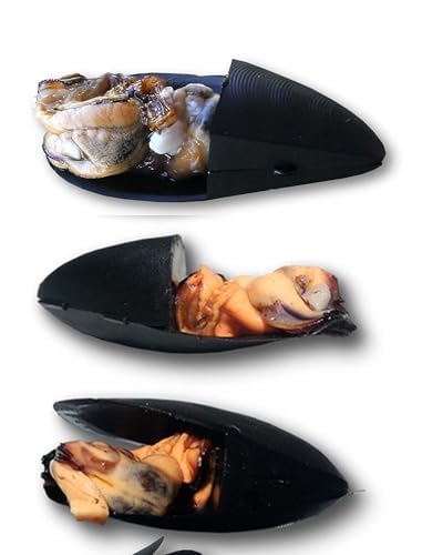 kabura, Jig, madaî, tenya, El Mejillón de Marsella, señuelo Especial para la Pesca de Doradas en Barco, 4 plomos x2 30 gr, x2 50 gr