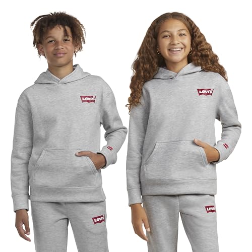Image of Levi's Boys' Soft Knit Graphic Pullover Hoodie