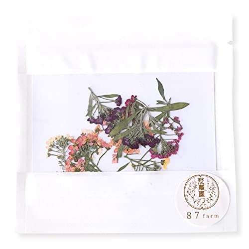 押し花 エディブルフラワー ドライ 食用花 アリッサム ミックス 11枚入