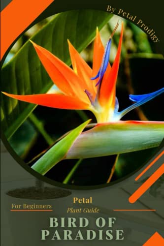 Bird of Paradise: Prodigy Petal, Plant Guide