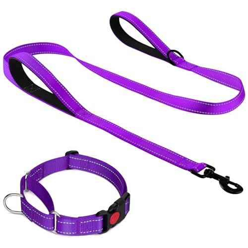 Joytale Martingale Dog Collar(18.5-25"), 6FT Double Handle Dog Leash for Training, Purple