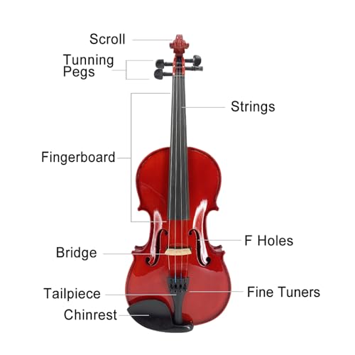 Image of Electric Violin 4 /4 full Size 4 string Acoustic Violin Spruce Maple Ebony Wood with Case, Bow Handmade for Beginners, Students, Professionals (White)