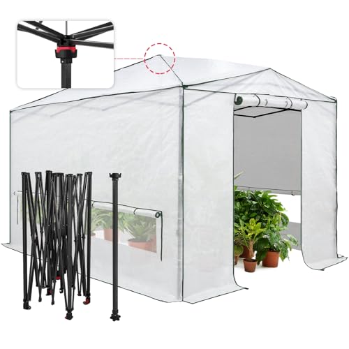 Image of EAGLE PEAK 12x8 Easy Setup Pop Up Greenhouse, Support Pole, Translucent