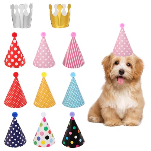 11Stück Partyhüte Geburtstag Set Bunte Partyhüte für Kuscheltiere Kindergeburtstags Partyhütes,Gebuâ€¦ – Miniatur