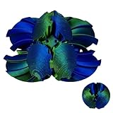 Gear Ball Fidget Spielzeug Steampunk Zahnrad Kugel Stressabbau Sensorisches Spielzeug autistische Kinder Erwachsene 3D Gedruckt Kinder Geschenk für Weihnachten Wichteln (F)