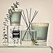 NEST New York Scented Classic Candle, Wild Mint & Eucalyptus - 8.1 oz - Up to 60-Hour Burn Time - Reusable Glass Vessel