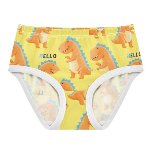 Joisal Cute Cartoon Orange Dinosaur Toddlers Underwear Floral 2t Cotton Little Girl Panties Aesthetic Briefs Underpants