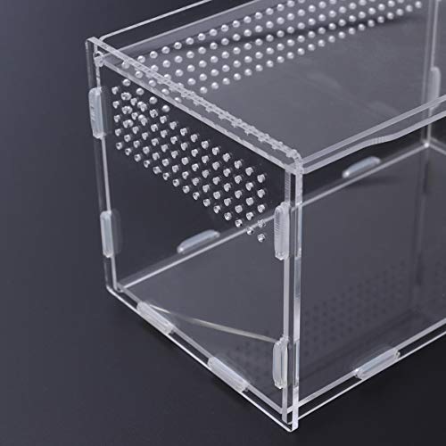 ULTECHNOVO Caso Acrílico Para Reptile Reptile - Durável Acrílico Transparente Caso para Aranha Tarta