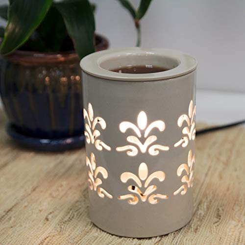 Deco Electric Cylinder Candle Warmer, Wax & Tart Warmer for Indoor Decor, Includes 6 Wax Cubes and Halogen Bulb(4.5"x4.5"x6")- Freshen Home or Office w Desired Fragrance- Great Holiday & Wedding Gift