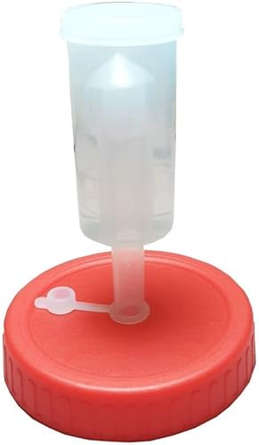 Tarro Mason Airlock Tapa de boca ancha para fermentar chucrut, kimchi, pepinillos y verduras, kit de Kimchi para el hogar (rojo)