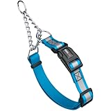Dogline Reflective Martingale Collar for Dogs with Quick Release Buckle – Biothane Dog Collar with Herm Sprenger Assembly Chain – Waterproof No Pull Dog Collar, L 11”-15”, Cerulean Blue