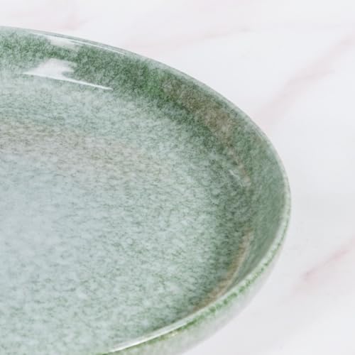 Image of Nestasia Ceramic Set of 6 Dinner Plates (10 Inch Each) - Microwave & Dishwasher Safe Full Plates with Stoneware Texture - Perfect for Home, Kitchen, Dining & Gifting (Sage Green)