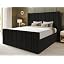 Black Plush