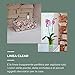 Teraplast Maceta 10447030, 30 x 15 x 14 cm, Transparente