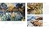 Mixed-Media Landscapes and Seascapes