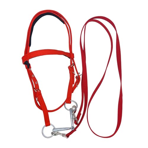 Juego de bridas para caballos: construcción de nailon rojo, herrajes con hebilla de metal, ajuste de cabecera ajustable, forro suave y cómodo | Equipo de equitación para caballos, hombres y mujeres, a