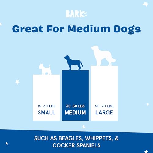 Barkbox Premium saugfähiges Hundehandtuch – schnell trocknender Kapuzen-Bademantel für Bade- und Strandausflüge, luxuriöser & weicher Hunde-Bademantel/Handtuch für alle Rassen, schnell trocknendes