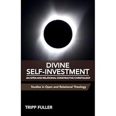 Divine Self-Investment Audiobook By Tripp Fuller cover art