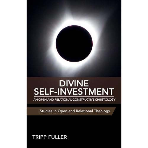 Divine Self-Investment Audiolibro Por Tripp Fuller arte de portada