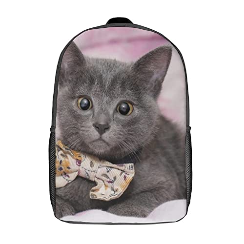 Sac de voyage de loisirs chat pour les sorties de toute la famille