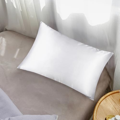 Mulberry Silk Pillowcase for Hair and Skin, King 19 Momme Natural Silk Pillow Case with Hidden Zipper, White