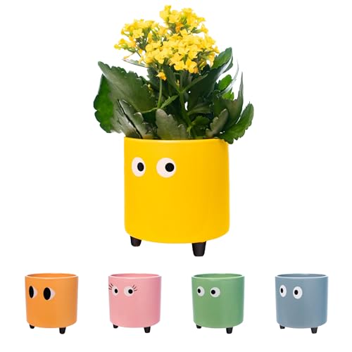 Fisura - Macetero Original con diseño de Ojos. Decorativo Interior. Macetero con Patas para Cactus. Maceta de cerámica Amarillo para Flores y suculentas. 13 x 12,5 cm.
