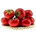 Gresorth 6pcs Artificial Lifelike Simulation Tomato Fake Fruit Vegetable Home Party Kitchen Decoration Food Toy