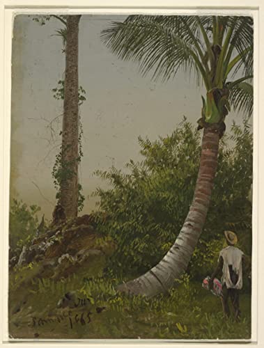 Peinture sur toile arbre Jamaïque de Frederic Edwin Church pour chambre 60x90cm