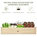 ZSYWODFO 4x2ft Wooden Raised Garden Bed Outdoor,Elevated Planting Planter Box for Vegetables/Garden/Lawn/Patio,Natural, 48 x 24 x 9in