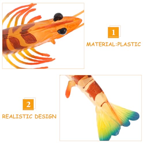 Toyvian Deko-Garnele Modell wie echt – Detailgetreue Simulation Meeresfrüchte Pädagogisches Naturkunde Spielzeug für Schule Kindergarten Robustes Kunststoff Tierfigur Set für Sammler Meeres-Deko