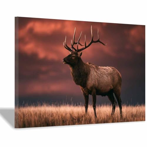 Toile Elk sauvage au coucher du soleil pour décoration moderne de bureau à domicile