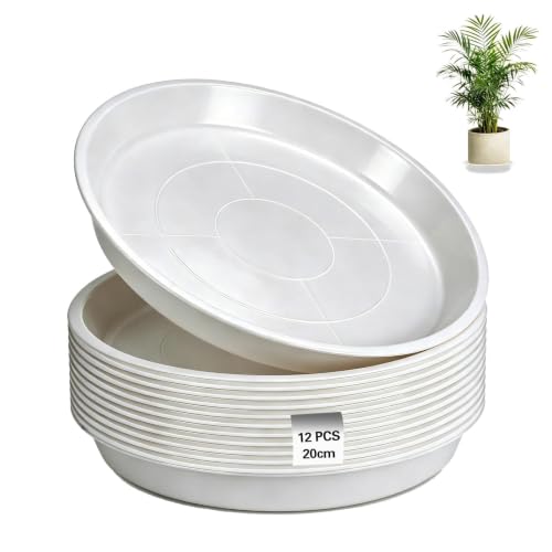 Ezitruz Lot de 12 soucoupes rondes pour pot de fleurs - 20 cm
