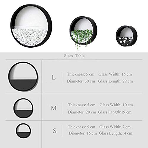 Zeetoon 3 Pack Set Modern Wall Planters Succulent Planter Circle Metal Flower Pot Indoor Air Plant Vertical Container Hanging Vase Home Decoration Size S,M,L Black, With 3 Artificial Succulent Plants #TOP6