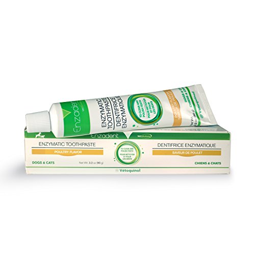 vet recommended dog toothpaste